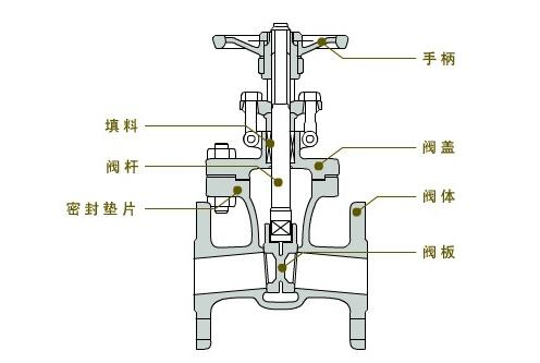 閘閥結構圖